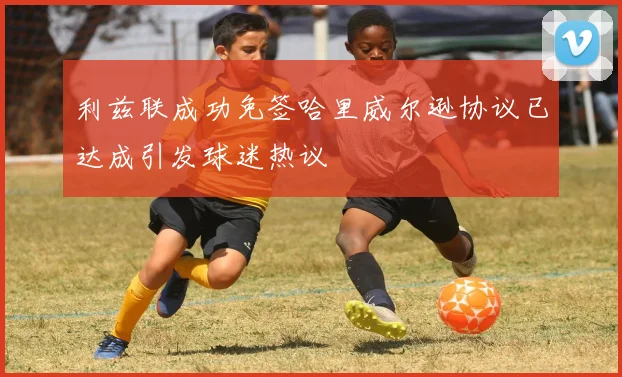 利兹联成功免签哈里威尔逊协议已达成引发球迷热议