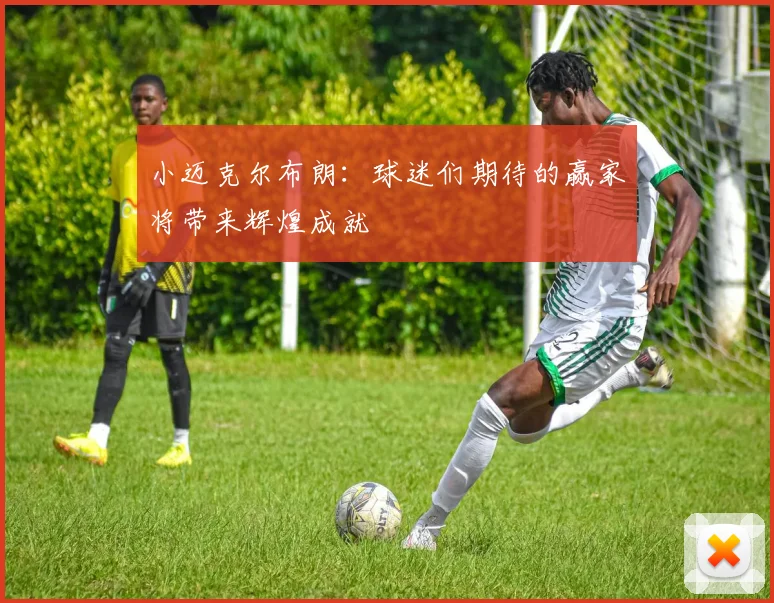 小迈克尔布朗：球迷们期待的赢家将带来辉煌成就